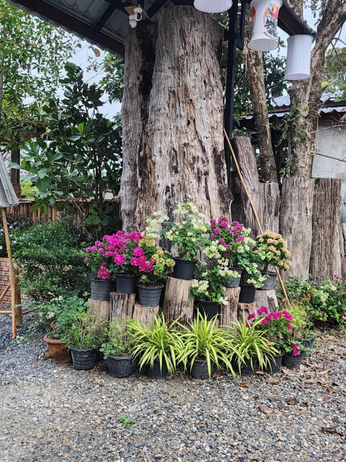 Suk Sabai Homestay Sukhothai Esterno foto